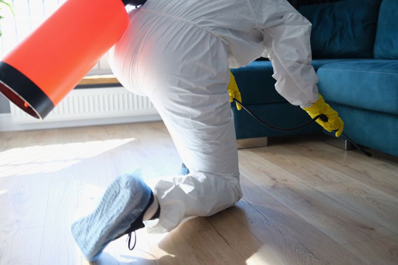 Bug And Insect Prevention Strategies