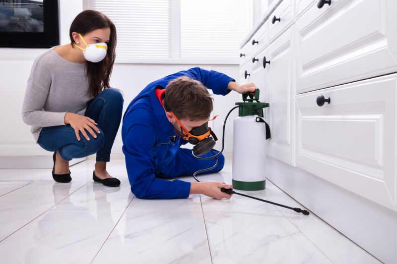 Commercial Spider Control For Offices And Retail Spaces