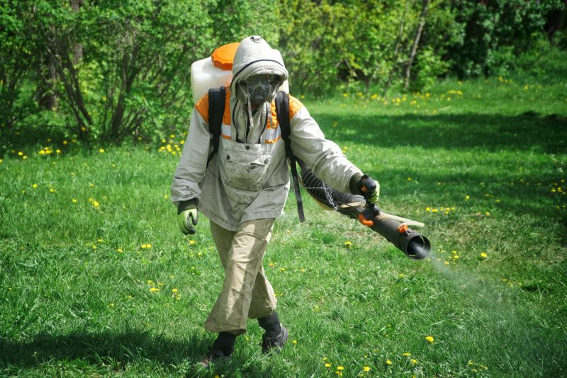 Common Flea And Tick Problems In Homes And Yards