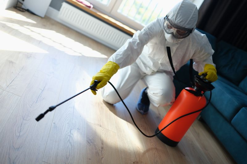 Common Pests That Invade Homes