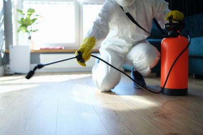 How Spiders Affect Commercial Properties