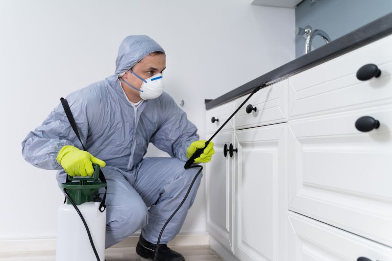 Preventing Spring Bug And Insect Infestations