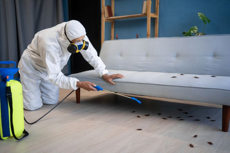 Signs You Have A Roach Infestation In Your Home Or Business