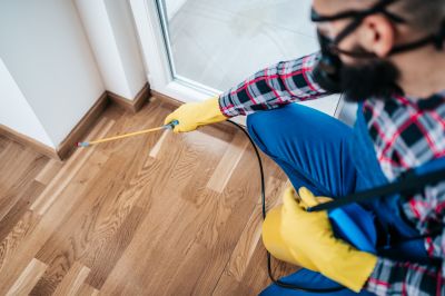 Spring Pest Management For Bug And Insect Control