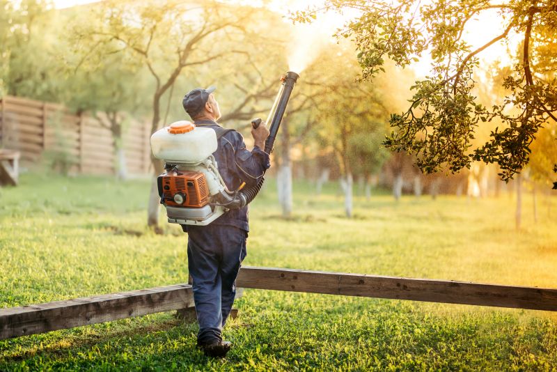 Spring Pest Management For Bug And Insect Control