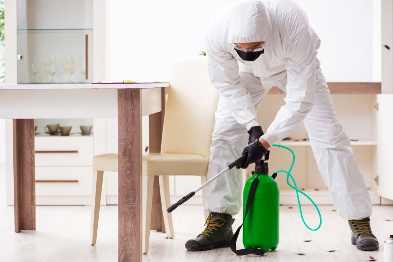 Spring Pest Management For Bug And Insect Control